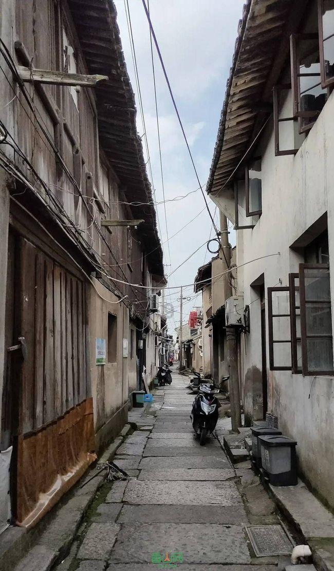 EDG管理爆料:Ale已坐上替补席!下一个就是Fisher!不想打就润!